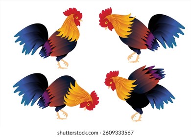 Rooster vector set. Beautiful rooster illustration on white background
