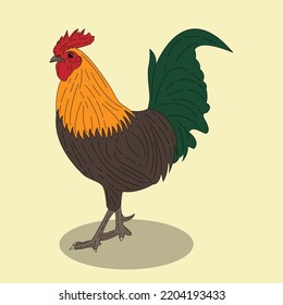 rooster vector in vintage style