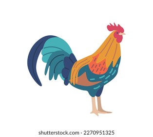 Rooster With Its Vibrant Feathers And Sharp Beak Isolated On White Background. Farm Animal, Fowl, Poultry Concept