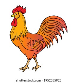 rooster walking vector illustration,
isolated on white background.top view