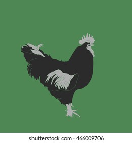 Rooster, zodiac of  next year  . Hand drawn.