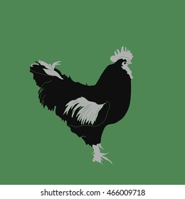 Rooster, zodiac of  next year  . Hand drawn.