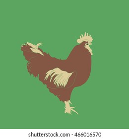 Rooster, zodiac of  next year  . Hand drawn.