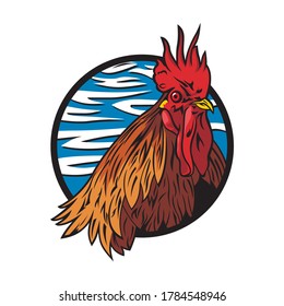 Rooster.drawing and sketch in vector illustration.