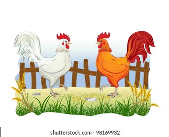 Roosters in country side outdoor scene with fence