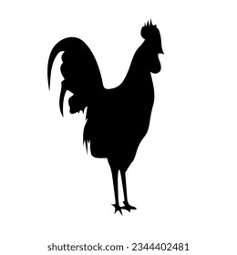 Roosters in different positions vector 