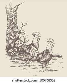 Roosters in the farm. Countryside. Beautiful nature. The tree with leaves. Two birds standing and looking far. Vintage vector illustration on one color