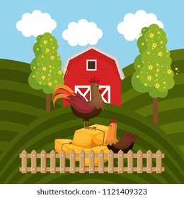 roosters in the farm scene