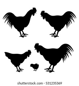 roosters and hen with chicken,vector illustration