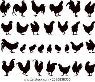 roosters, hens, chickens set black silhouette, vector