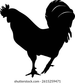 Roosters play a crucial role in maintaining flock organization, protecting their hens, and establishing dominance within the group