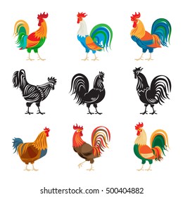 Roosters and rooster silhouettes isolated on white background. Chickens farm cockerel set vector illustration