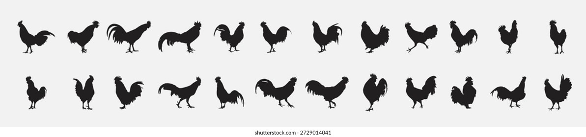 roosters silhouettes set vector illustration