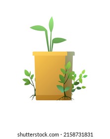 Root in box. Seedling garden plants. Sowing agricultural material. Isolated on white background. Single object icon. Vector.