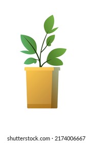 Raíz en el cuadro. Plantas de jardinería. Sembrar material agrícola. Aislado sobre fondo blanco. Icono de objeto único. Vector.
