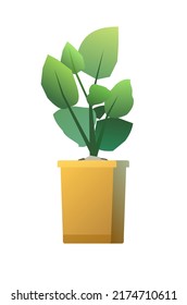 Root in box. Seedling garden plants. Sowing agricultural material. Isolated on white background. Single object icon. Vector.