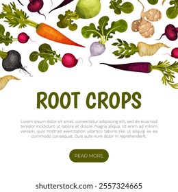 Root Crop Banner Design with Fresh Harvest Veggie Vector Template