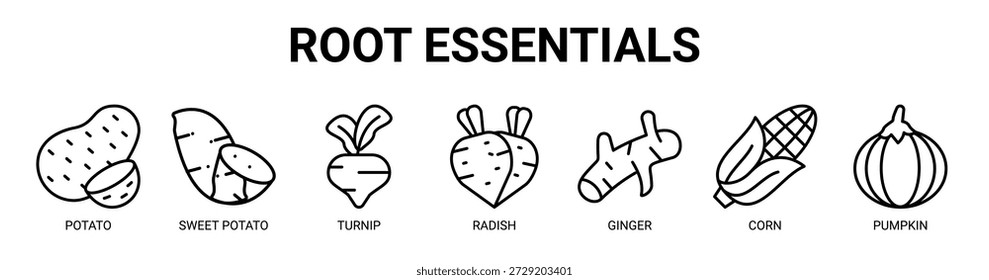 Concepto de Ilustración vectorial de ícono de Anuncio de Web de raíz de Essentials con ícono de papa, batata, nabo, rábano, jengibre, maíz y calabaza.