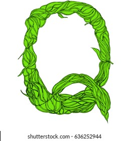 Root font, type. Green herbal vector letters. Letter Q.