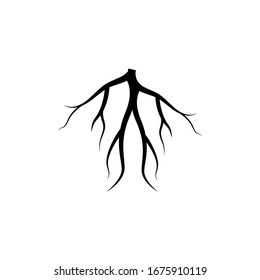 Root graphic design template vector isolated illustration