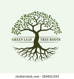 root green tree logo illustration