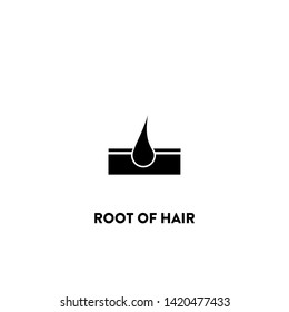 root of hair icon vector. root of hair sign on white background. root of hair icon for web and app