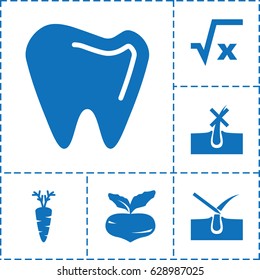 Root icon. set of 6 root filled icons such as beet, no hair in skin, shave hair in skin, carrot, tooth