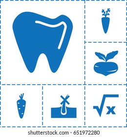 Root icon. set of 6 root filled icons such as carrot, beet, no hair in skin, tooth, square root