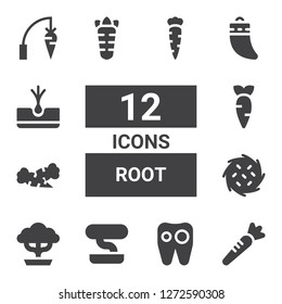root icon set. Collection of 12 filled root icons included Carrot, Tooth, Bonsai, Tumbleweed, Teeth, Tuber