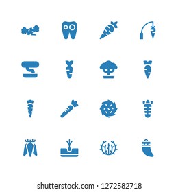 root icon set. Collection of 16 filled root icons included Teeth, Tumbleweed, Tuber, Carrot, Bonsai, Tooth