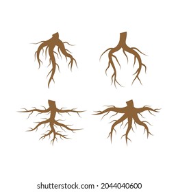 Root icon set design template 