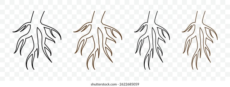 Root icon. Tree roots system silhouettes collection. vector illustration
