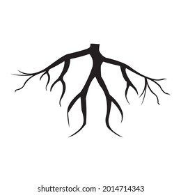 root icon vector illustration sign