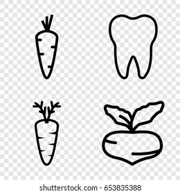 Root icons set. set of 4 root outline icons such as carrot, beet