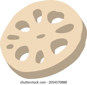 Sliced　lotus root isolated vector illustration.