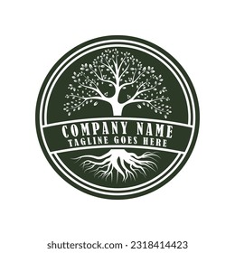 Root Leaf Family Tree of Life Oak Banyan Maple Stamp Seal Emblem Label logo design vector