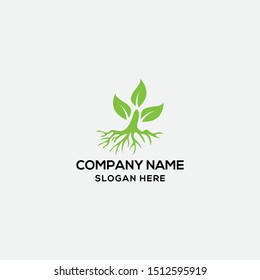 root leaf logo design template. vector