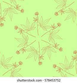 Root and leaves panax ginseng, sketch style. Hand draw vintage illustration of medicinal plants. For traditional medicine, gardening. Biological additives are. Seamless pattern.