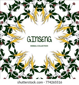 Root and leaves panax ginseng, sketch style. Hand draw vintage illustration of medicinal plants, background. For traditional medicine, gardening. Biological additives are.