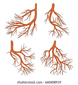 root plant  vector symbol icon design. Beautiful illustration isolated on white background

