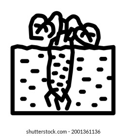 root plant wasabi line icon vector. root plant wasabi sign. isolated contour symbol black illustration