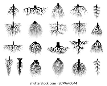 Wurzelpflanzen. Botanische Symbole: Wurzelsysteme von Kriechbäumen, neuere Vektorgrafik-Flachkollektionen einzeln