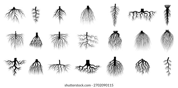 Wurzelpflanzen botanische Symbole Wurzelsysteme aus Kriechbäumen jüngste Vektorgrafik-Flachkollektionen einzeln