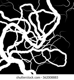 Root Plexus on Black - vector set