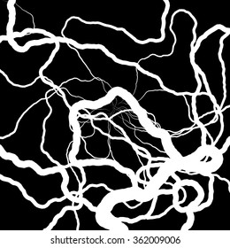 Root Plexus on Black - vector set