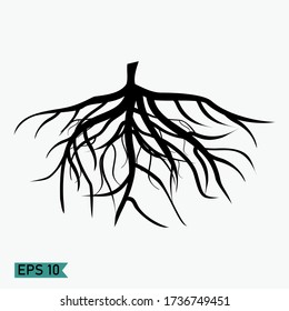 Root Silhouette Fibrous Root Silhouette Plant Stock Vector (Royalty ...