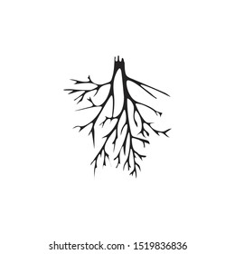 root silhouette vector symbol icon design. Beautiful illustration isolated on white background