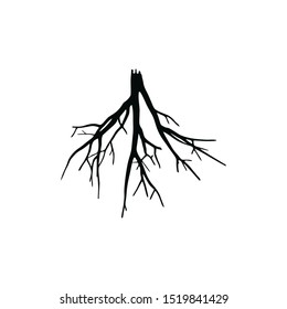 root silhouette vector symbol icon design. Beautiful illustration isolated on white background