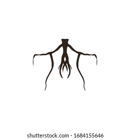 diseño de icono de símbolo vectorial de silueta raíz. Hermosa ilustración aislada en fondo blanco