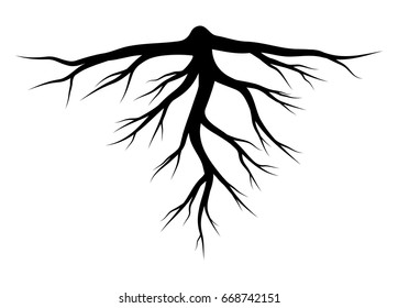 root silhouette vector symbol icon design. Beautiful illustration isolated on white background
